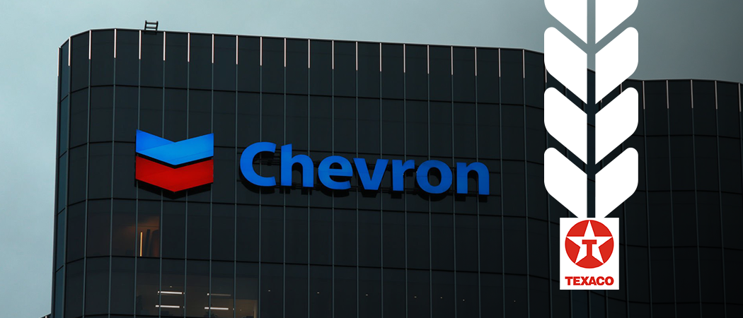 Chevron-ის Delo და Havoline პრემიუმ ზეთები და საპოხი მასალები ხელმისაწვდომია ვაკო მოტორსში