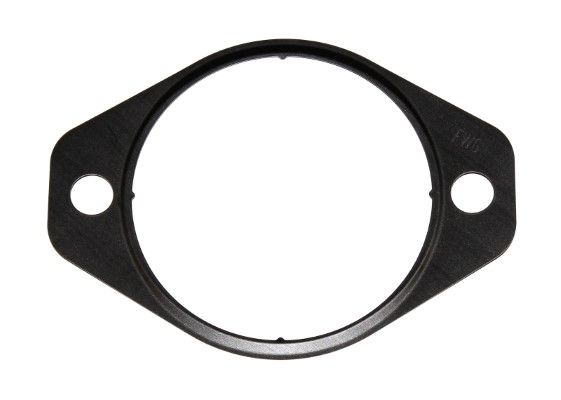 Gasket timing case