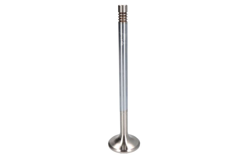 EXHAUST VALVE