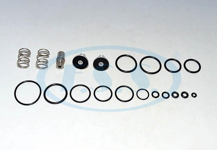 ECAS VALVE REPAIR KITS