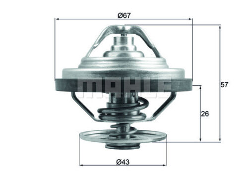 Thermostat inserts