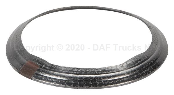 მაყუჩის ჩობალი
