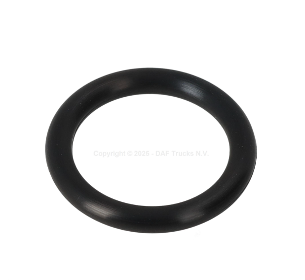 O-ring .